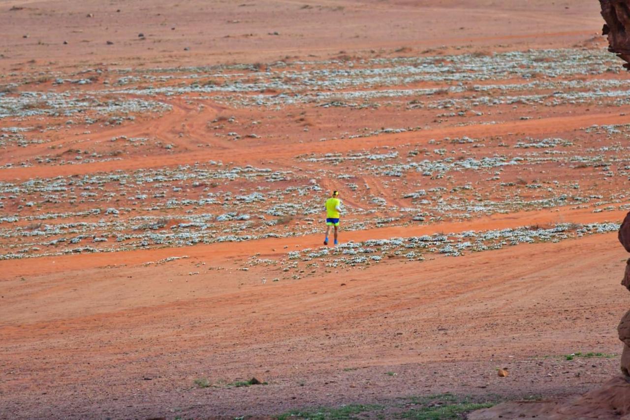 Art Camp Wadi Rum Exterior foto